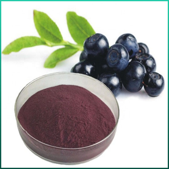 Blueberry Extract