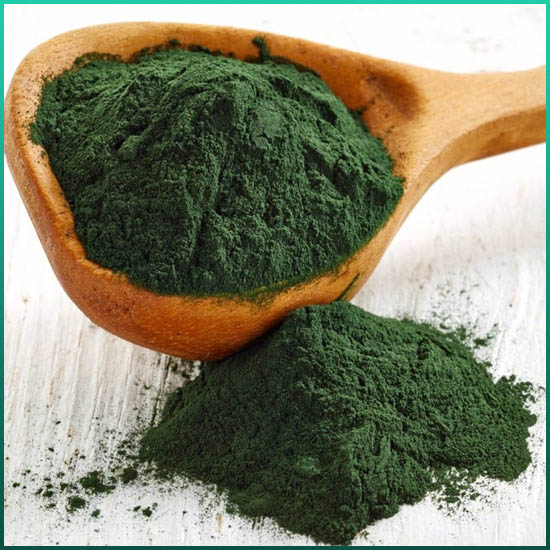 Spirulina Extract